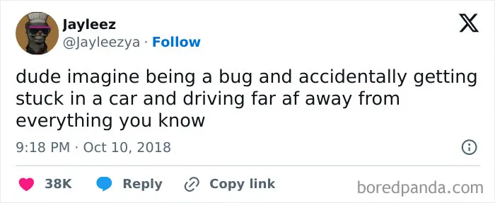 Tweet meme about a bug stuck in a car, driving far away from everything familiar