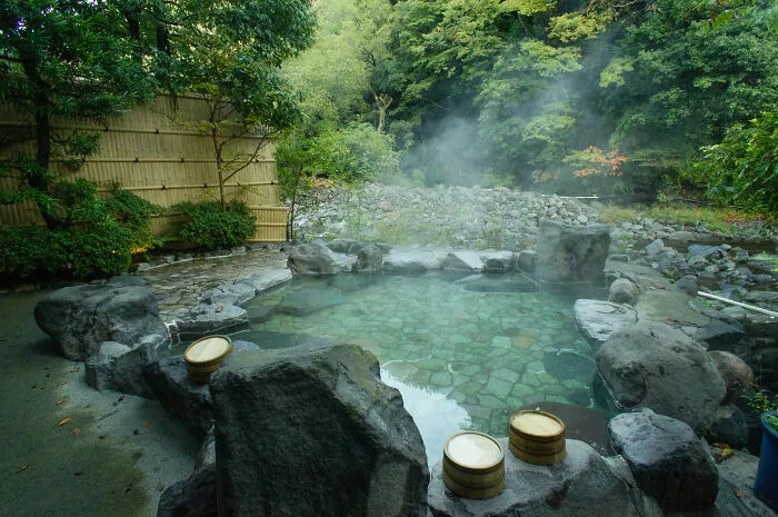 Japanese Hot Springs (“Onsens”)