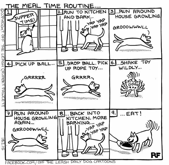 The Meal Time Routine