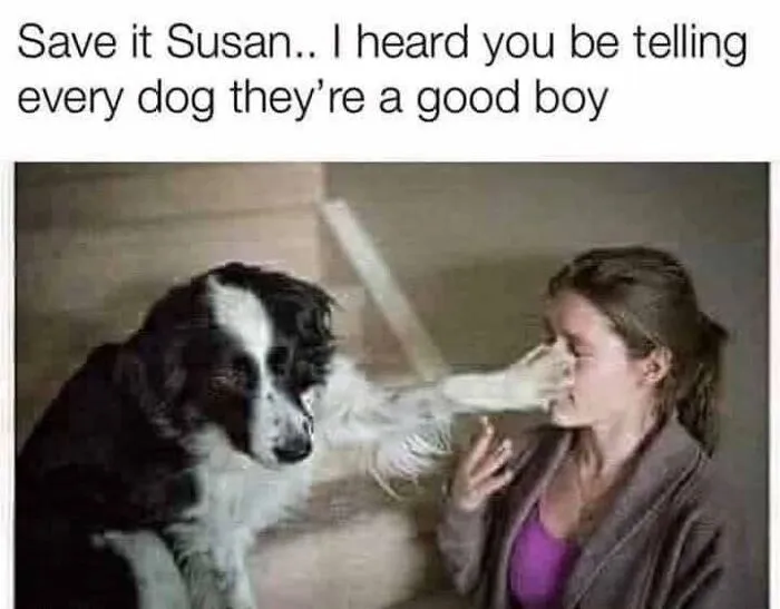 Dog with paw over woman's face in a funny random meme from FB group