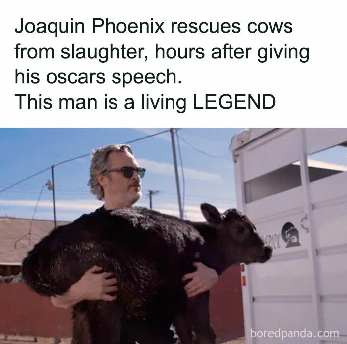 69 Vegan Memes That Never Get Old 
