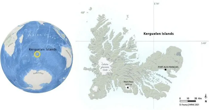 Kerguelen Islands, Indian Ocean