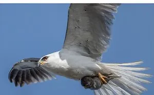 These 50 Photos May Seem Confusing At First, But The Explanation Makes Them Even Better