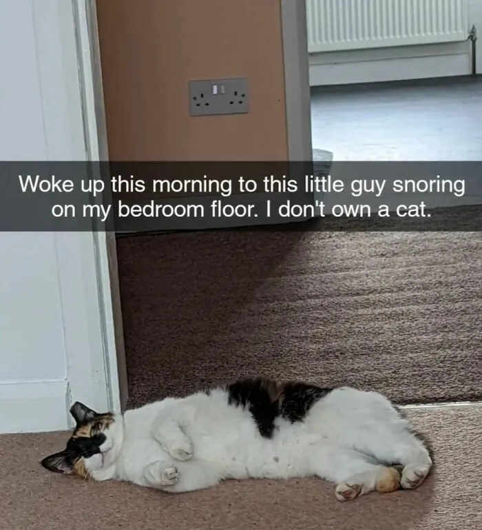 70 Randomly Funny Memes To Fix Your Mood