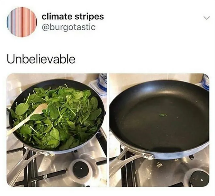 69 Vegan Memes That Never Get Old 