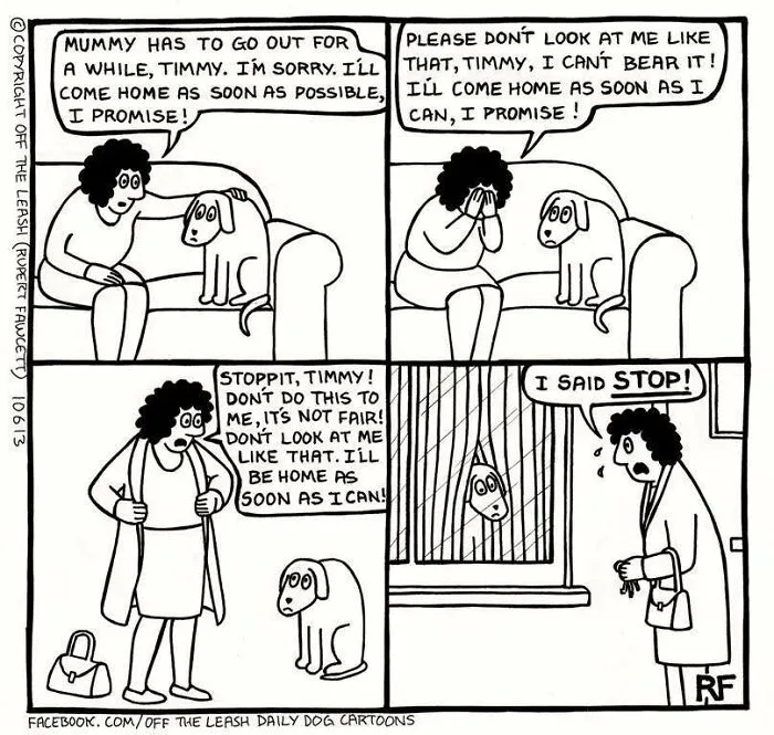 Guilt Trip With Dogs