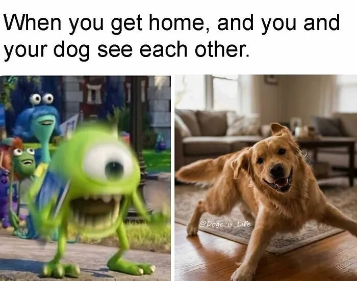 71 Funny Random Memes To Help You Cure Your Afternoon Boredom