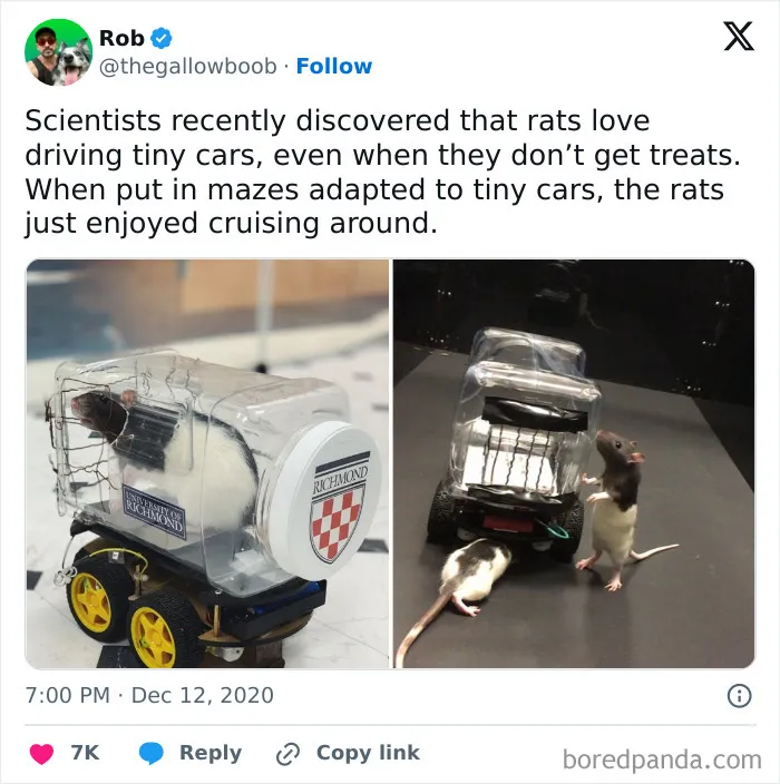 This Is Adorable