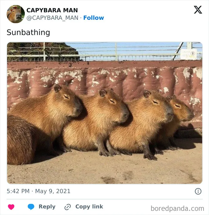 Just A Normal Sunny Day With Friends