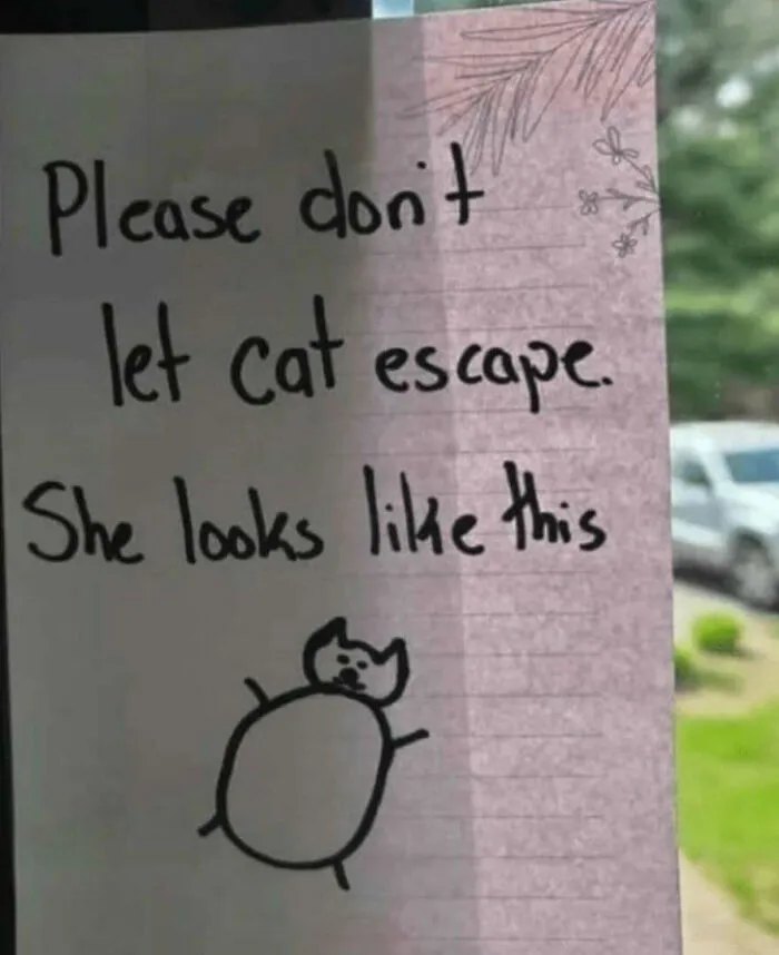 111 Funny Memes To Enjoy When You’re Bored, Tired, Or Just Need A Laugh