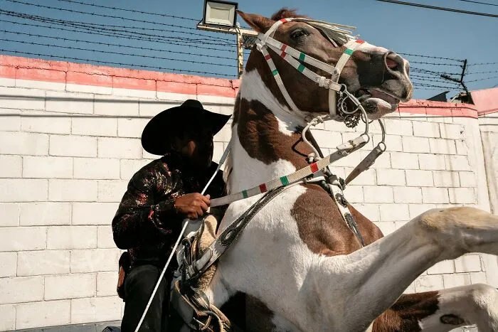 20 Powerful Photos From The 2026 Animal Kingdom Competition By Life Framer