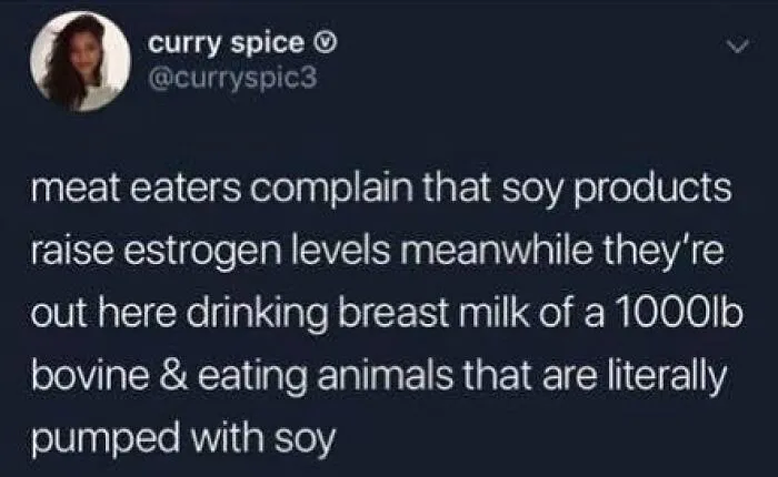 69 Vegan Memes That Never Get Old 