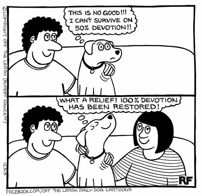 Dog Devotion!