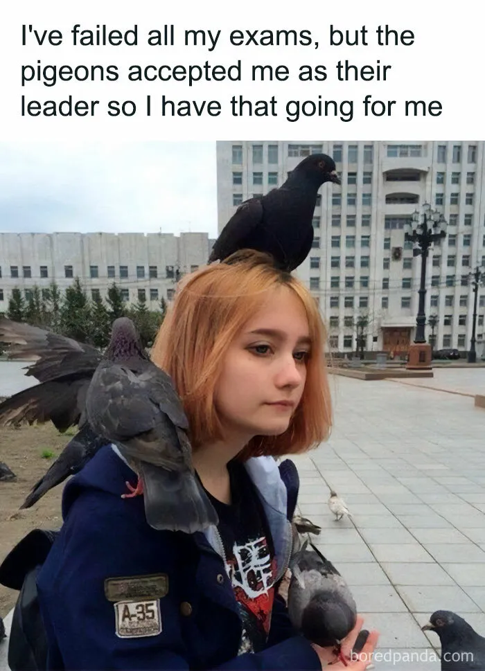 If Nothing Brings You Joy Anymore, Try These 75 Funny And Wholesome Animal Memes