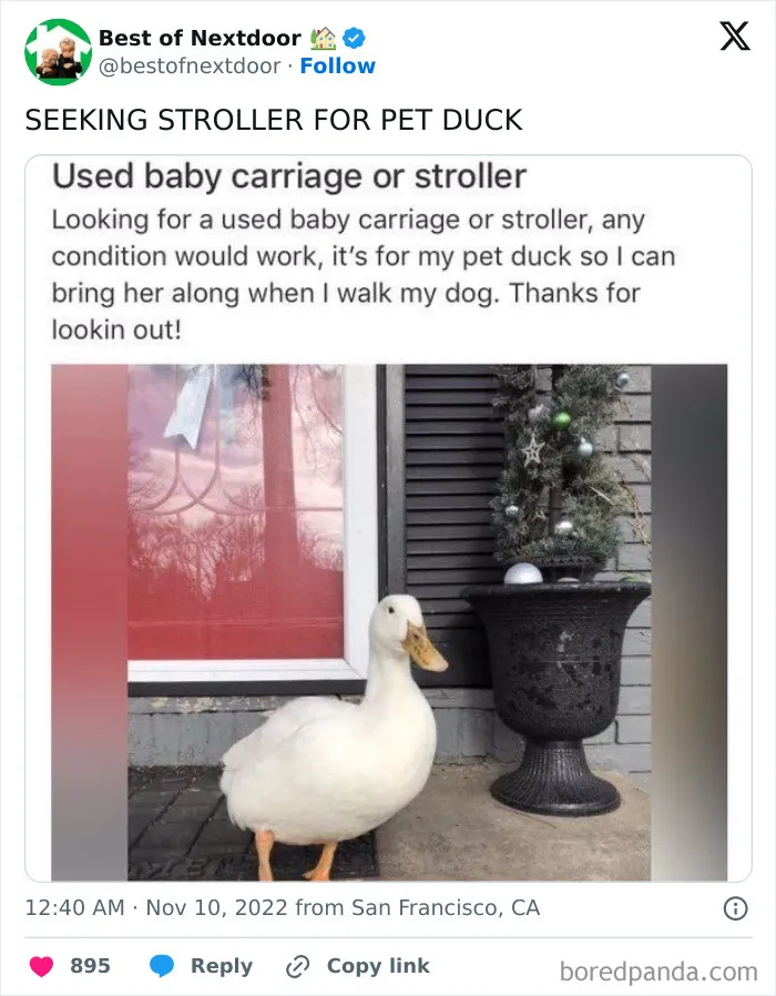 87 Unhinged And Entertaining Neighbor Antics Shared By This X Page (New Pics)