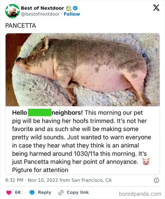 87 Unhinged And Entertaining Neighbor Antics Shared By This X Page (New Pics)