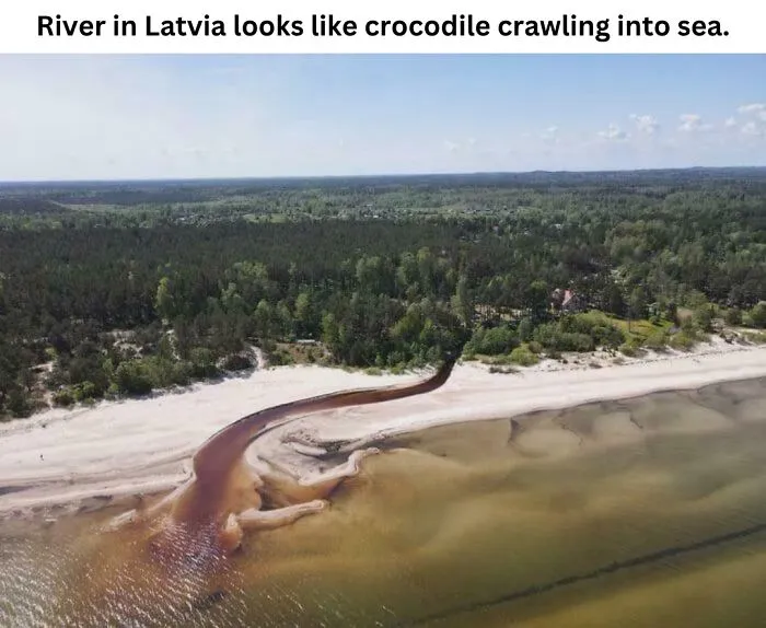 These 50 Photos May Seem Confusing At First, But The Explanation Makes Them Even Better