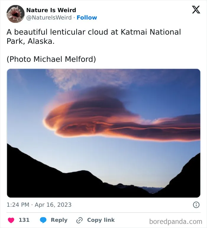 42 Rare Photos That Prove Most Of Us Have No Idea How Wild This Planet Actually Is
