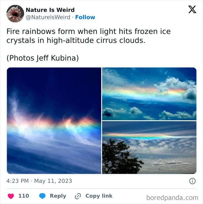 42 Rare Photos That Prove Most Of Us Have No Idea How Wild This Planet Actually Is