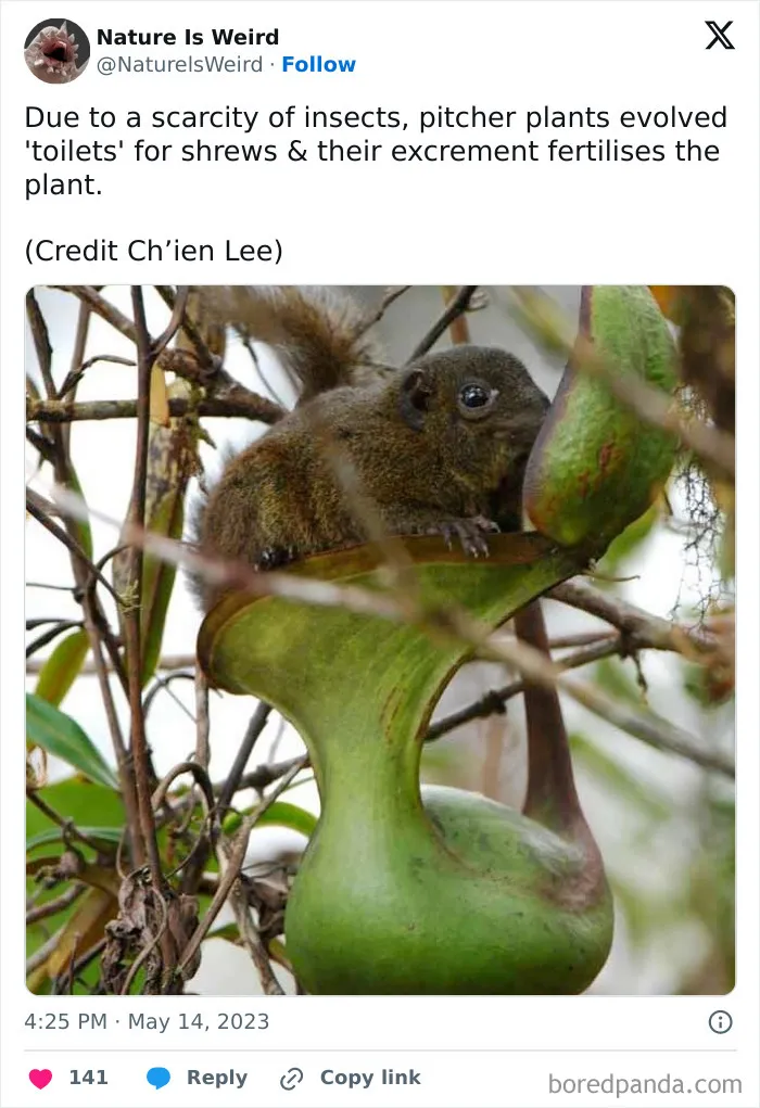 42 Rare Photos That Prove Most Of Us Have No Idea How Wild This Planet Actually Is