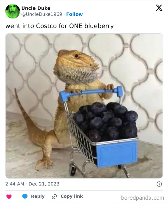 83 Hilarious And Relatable Memes That Anyone Who Shops At Costco Might Relate To