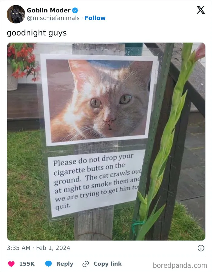 87 Unhinged And Entertaining Neighbor Antics Shared By This X Page (New Pics)