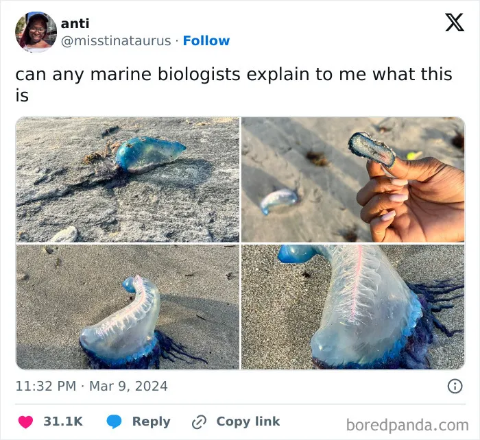 Rule Of Nature: If It Has Bright And Unique Color Don’t Touch It Because It’s Most Likely Venomous