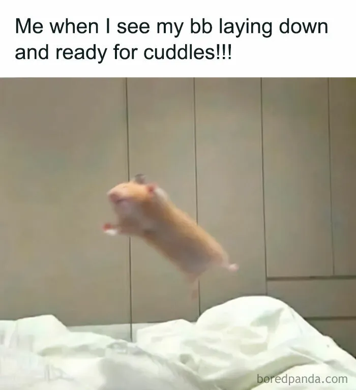 67 Funny And Relatable Couple Memes To Send Your Partner Instead Of Paying For Couple’s Therapy