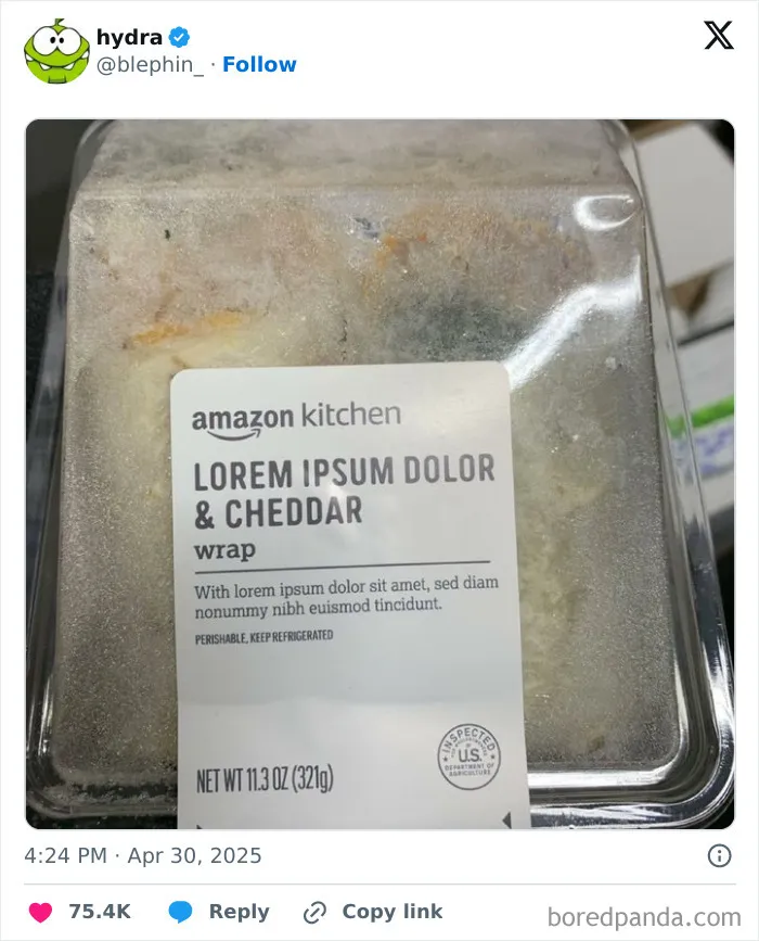 Lorem Ipsum Dolor & queso cheddar