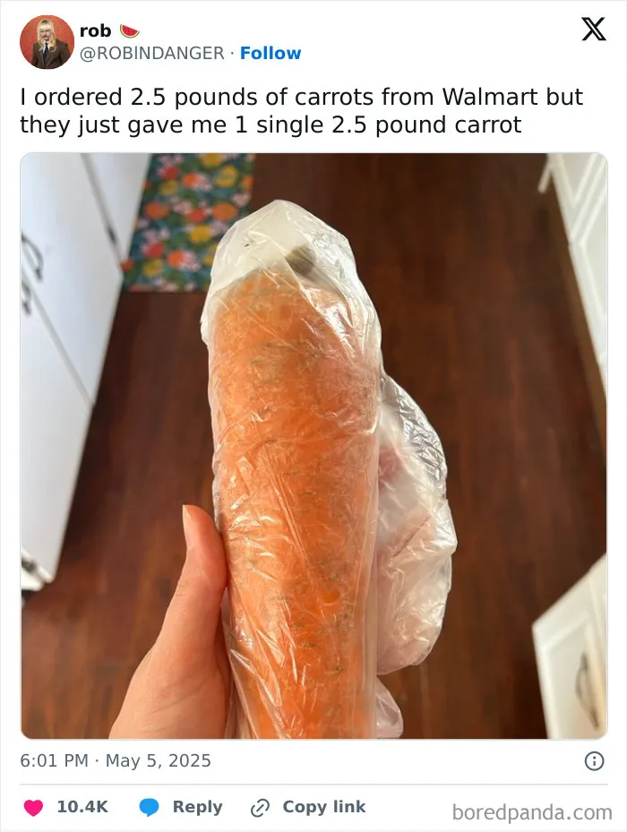 A Bountiful Harvest