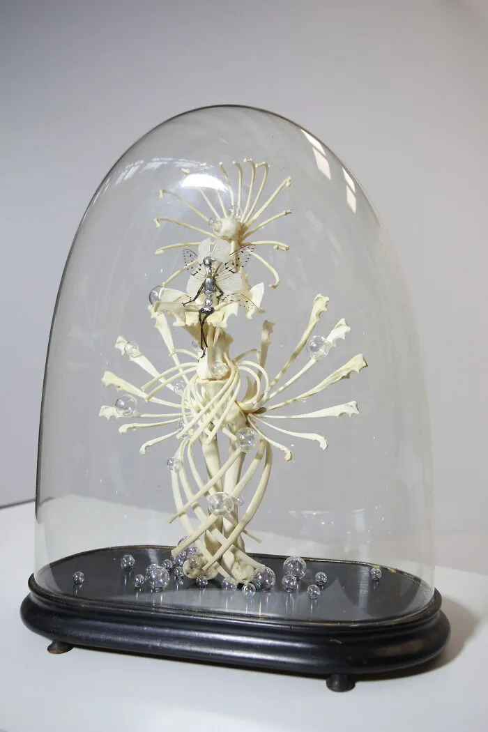 This Artist Creates Surreal Fairies, Floral Skeletons, And Mythical Creatures Out Of Natural Materials (33 Pics)