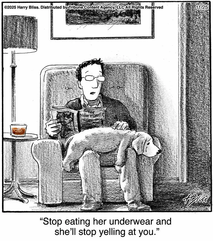 This New Yorker Cartoonist Creates Wholesome And Humorous One-Panel Dog Comics (40 Pics)