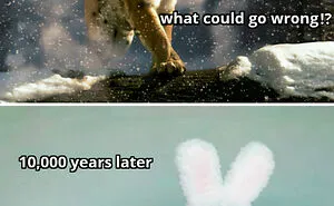 If Nothing Brings You Joy Anymore, Try These 75 Funny And Wholesome Animal Memes