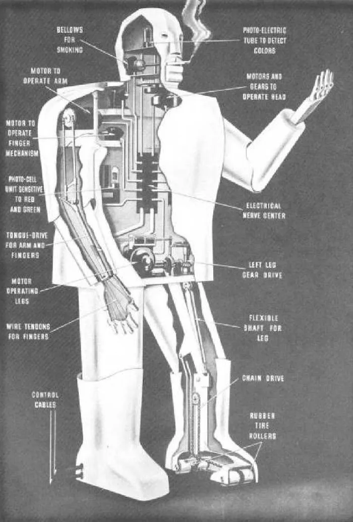 Robot Domestic Helpers