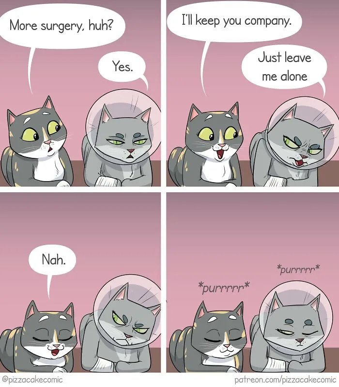27 New PizzaCake Comics By Ellen Woodbury That Might Brighten Your Day