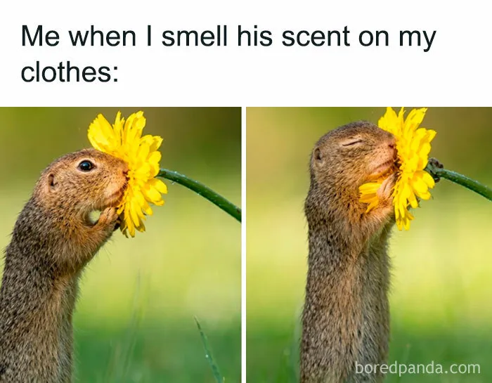 67 Funny And Relatable Couple Memes To Send Your Partner Instead Of Paying For Couple’s Therapy