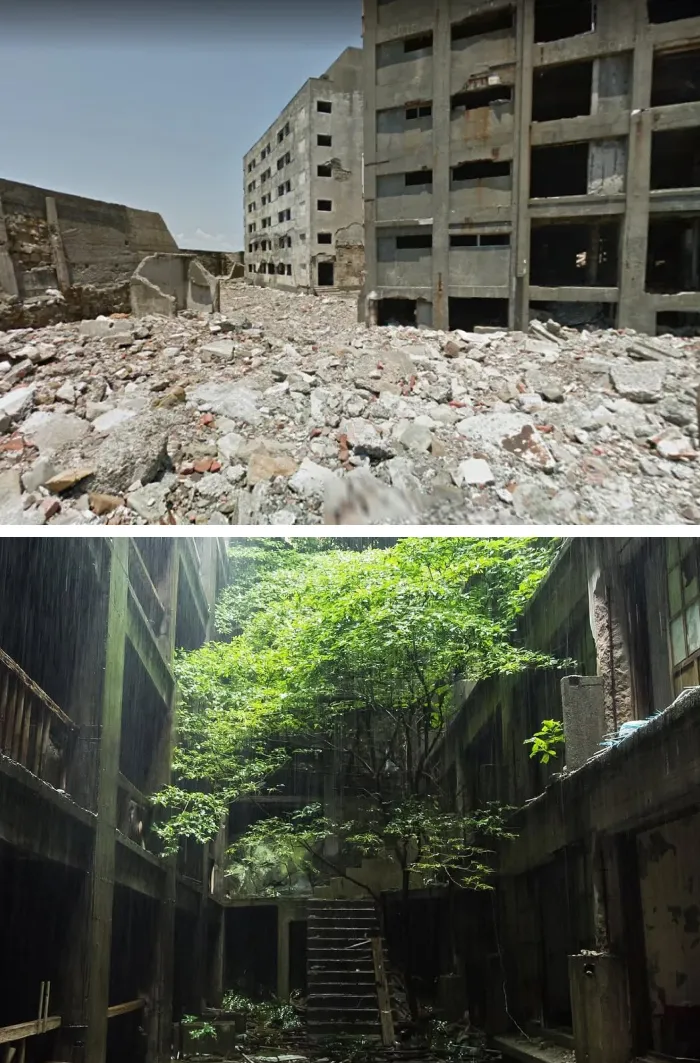 Hashima Island, Japan: A Concrete Miner Town Turned Into A Nautical Ghost Paradise