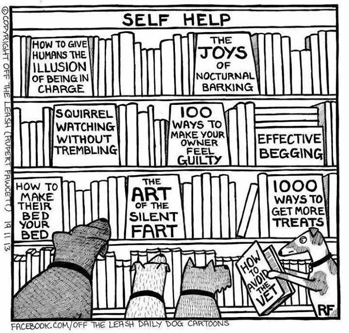 Self Help Books