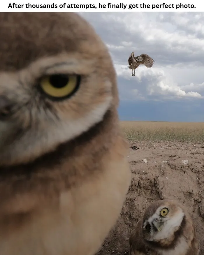 These 50 Photos May Seem Confusing At First, But The Explanation Makes Them Even Better