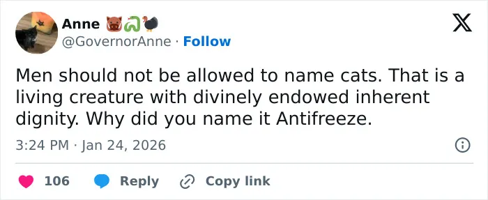A tweet from Anne @GovernorAnne states Men should not be allowed to name cats. This post highlights the funny, adorable, and weird nature of cats.