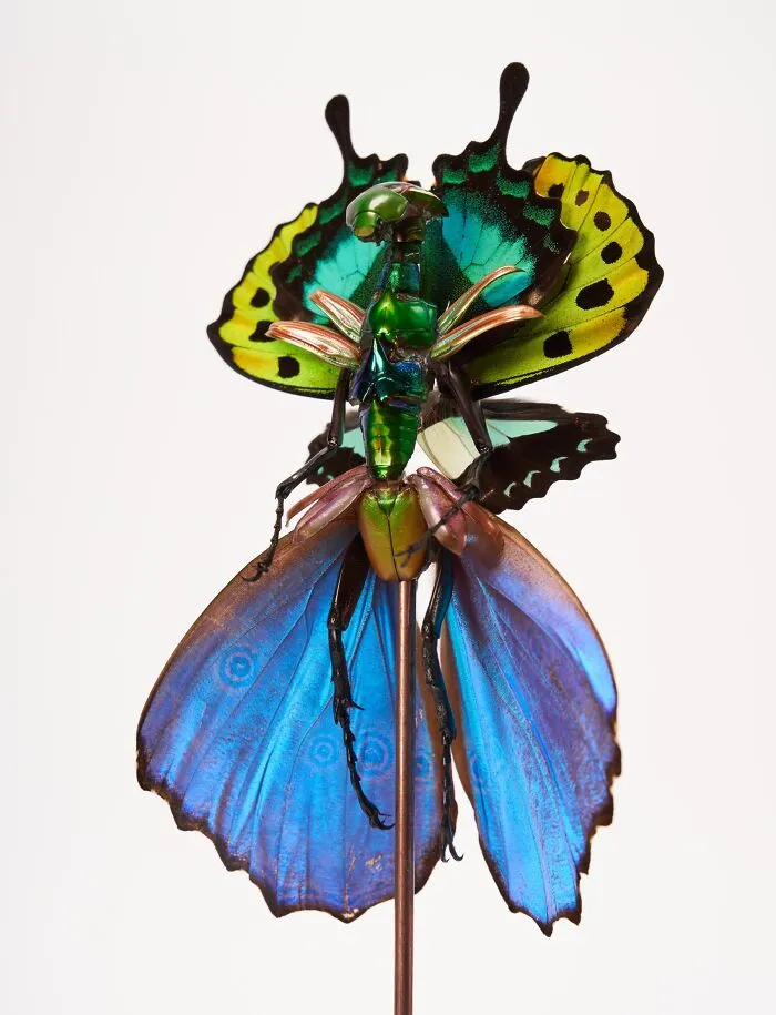 This Artist Creates Surreal Fairies, Floral Skeletons, And Mythical Creatures Out Of Natural Materials (33 Pics)