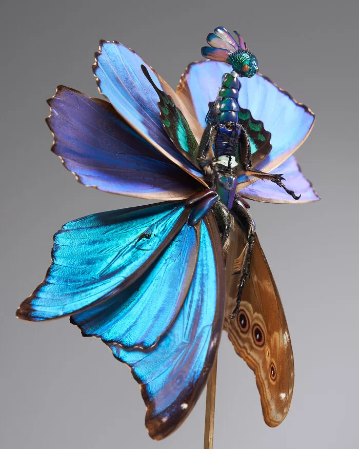 This Artist Creates Surreal Fairies, Floral Skeletons, And Mythical Creatures Out Of Natural Materials (33 Pics)