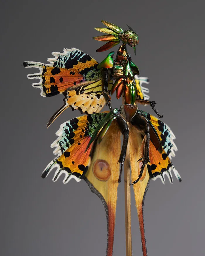 This Artist Creates Surreal Fairies, Floral Skeletons, And Mythical Creatures Out Of Natural Materials (33 Pics)