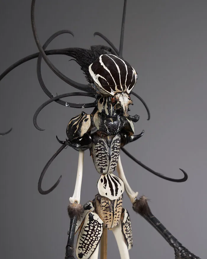 This Artist Creates Surreal Fairies, Floral Skeletons, And Mythical Creatures Out Of Natural Materials (33 Pics)