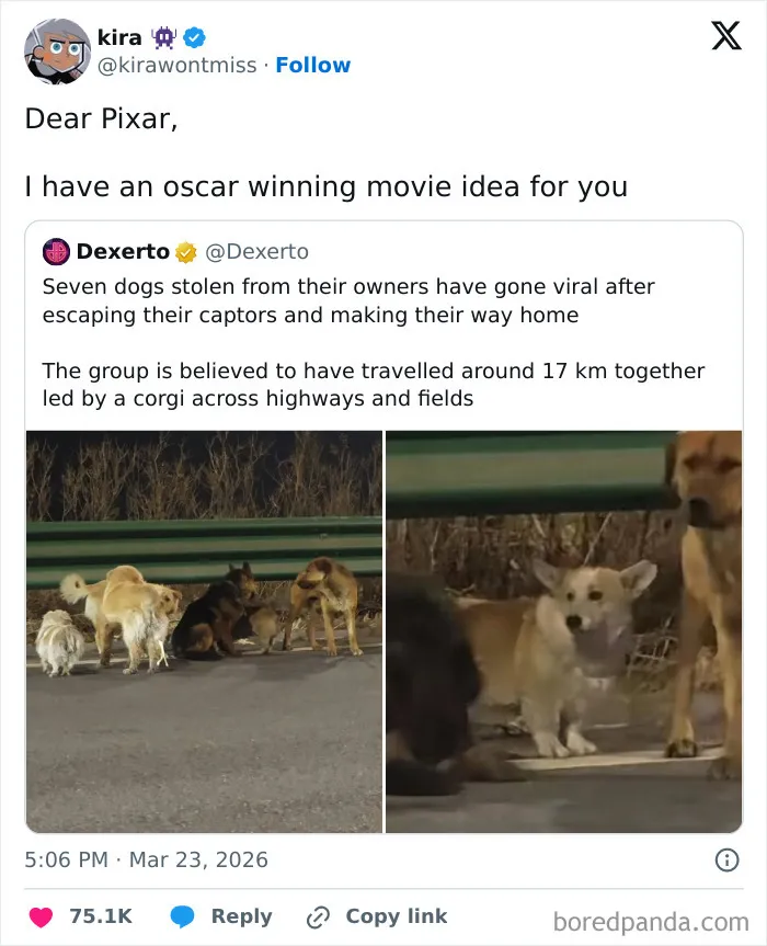 80 Tweets By Movie Lovers That Will Make You Start Seeing Films Differently