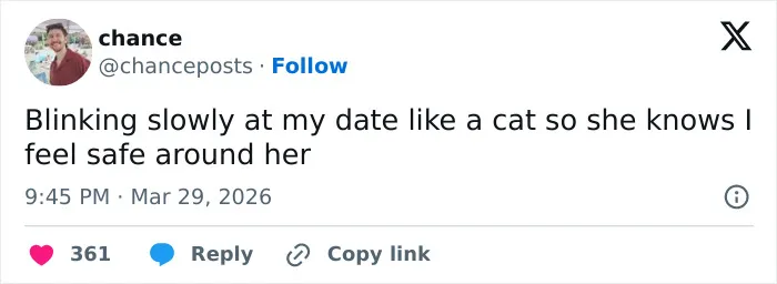 55 Hilariously Accurate Cat Tweets That Every Cat Owner Should Recognize Immediately