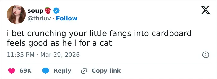 A funny tweet from @thrluv about cats enjoying crunching fangs into cardboard. Relatable for emotionally manipulative cat owners.
