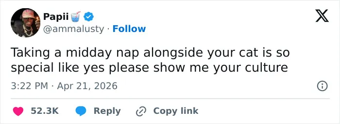 55 Hilariously Accurate Cat Tweets That Every Cat Owner Should Recognize Immediately