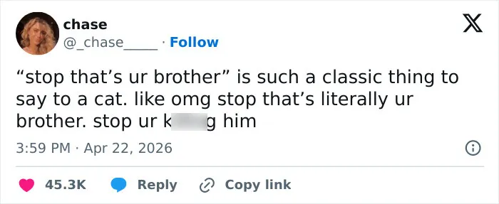 A tweet by user 'chase' saying, "stop that's ur brother" to a cat. Funny tweets about emotionally manipulative cats.