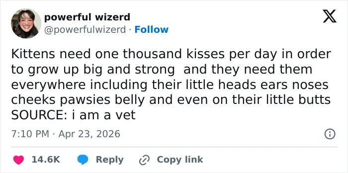 A funny tweet from powerful wizerd about cats needing a thousand kisses daily to grow big and strong, confirming cats are adorable.